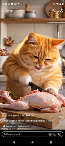 Screenshot 20250409 100301.png