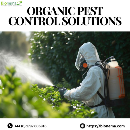 Top Organic Pest Control Solutions for a Safer, Greener Garden.png