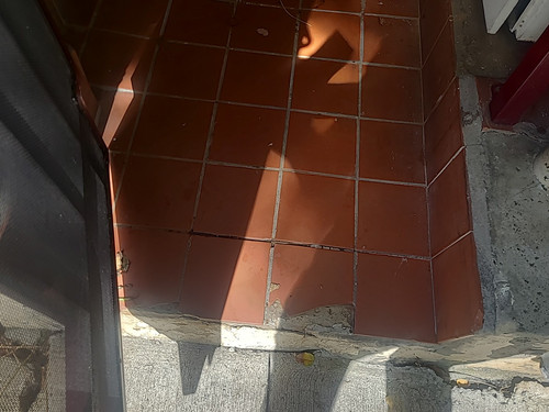 IMG 20250409 110732.jpg