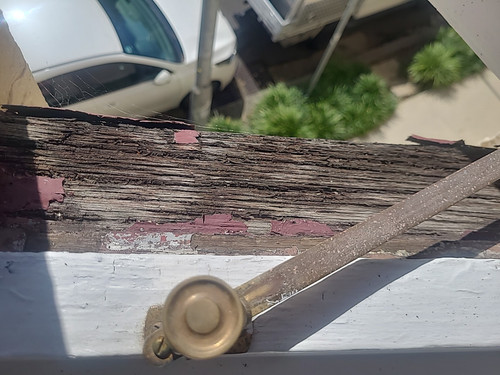 IMG 20250409 110044.jpg