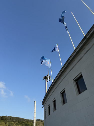 IMG 4919.jpg
