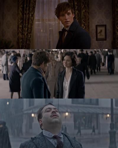 InCollage 20250409 124044184.jpg