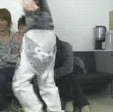 5c1d883e5d75cc83610db8af9a9ed6e8.gif