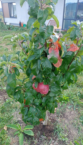 IMG 20240901 143530.jpg