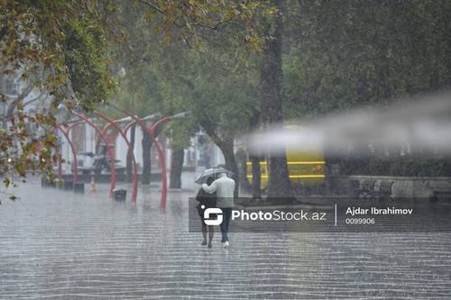 490036203 689745113709624 1016204592270229121 n.jpg?stp=dst jpg p180x540 tt6& nc cat=108&ccb=1 7& nc.jpg