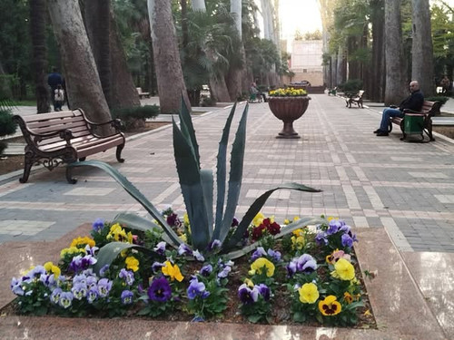 489728289 702003682178649 4851385104850565705 n.jpg?stp=dst jpg s600x600 tt6& nc cat=104&ccb=1 7& nc.jpg