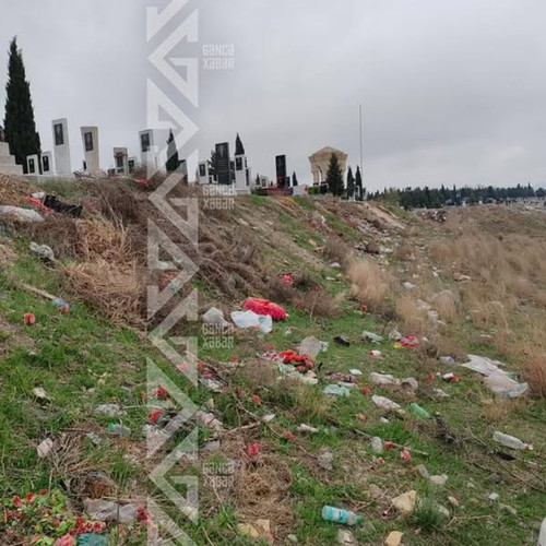 486214721 701253852253632 5821206135478841978 n.jpg?stp=dst jpg s600x600 tt6& nc cat=111&ccb=1 7& nc.jpg