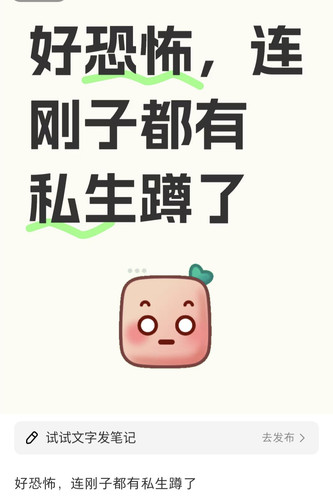 IMG 20250409 184055.jpg