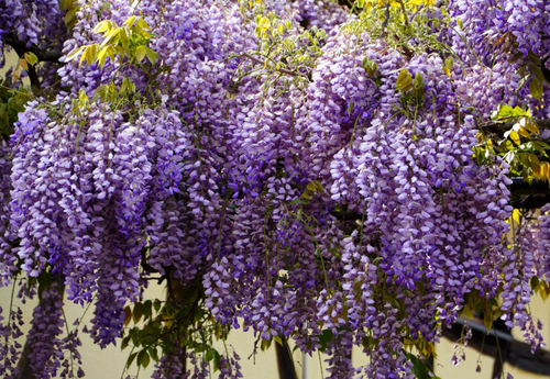 Screenshot 2025 04 09 164056.png