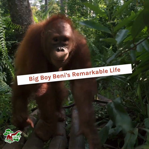 e wOyWnp1veGX4rM.jpg