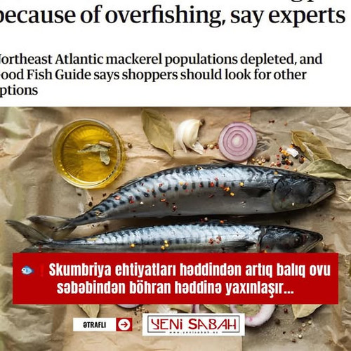 489623210 992817556164234 6327097874259080316 n.jpg?stp=dst jpg p526x296 tt6& nc cat=105&ccb=1 7& nc.jpg