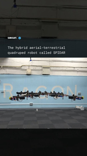 WZF9mA42yDFhiKPE.jpg