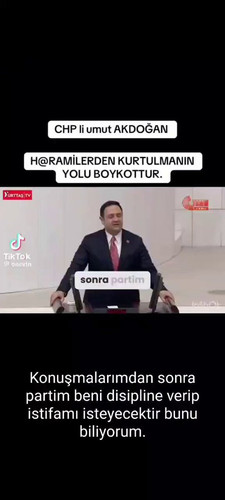 CS9 HlLtWrVGf8 p.jpg