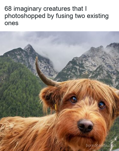 07d8bb92 7865 4c95 a039 9a95dd89a781.png