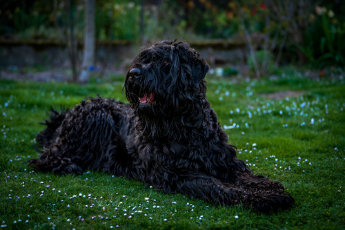  BEN5676 Verbessert NR.jpg