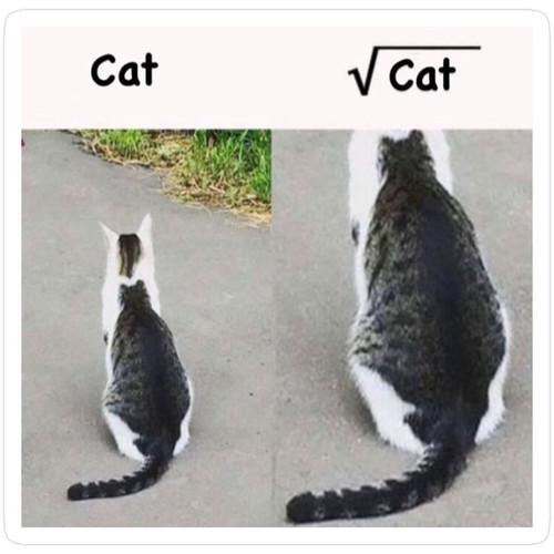slack imgs.jpg