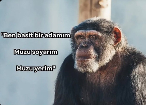 GoGRAC W8AAa 2q.jpg