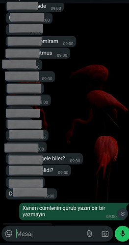 GoFazJyXcAIMC5e.jpg