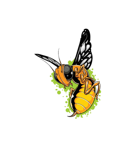 png transparent honey bee butterfly t shirt cartoon butterfly cartoon character honey bee photograph.png