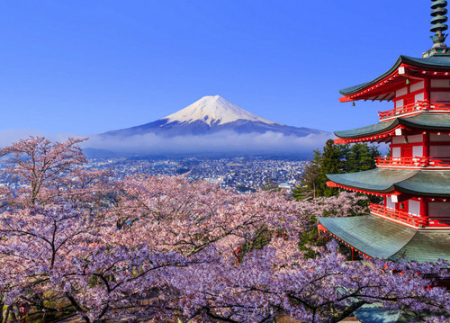 tokyo image.jpg
