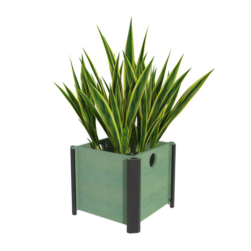 V PLTR12GR HRO 01 CC.jpg