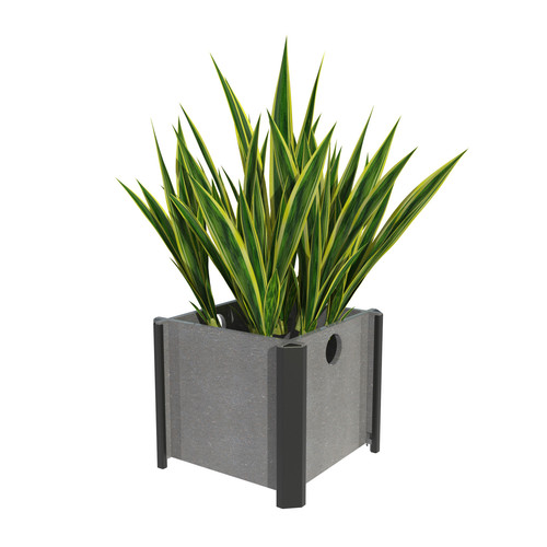 V PLTR12ST HRO 01 CC.jpg