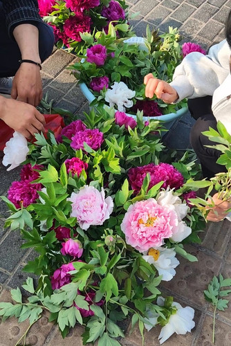 1000008332.jpg