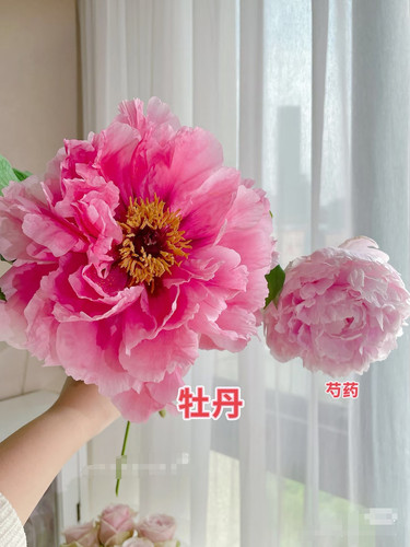Camera XHS 17442842846011000g0082be0nkp0h001g41q45j82ad6ho88b8e0 edit 347036620339233.jpg