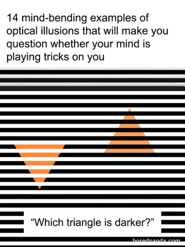 image (3).png