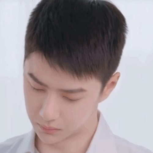 IMG 3105.gif