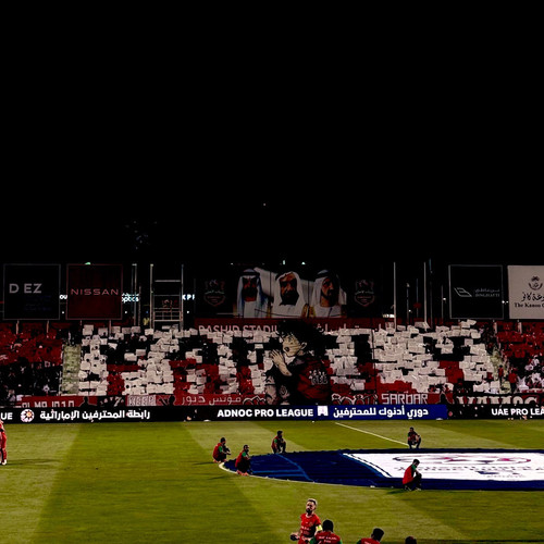 GoJvOPDWMAALV6a.jpg