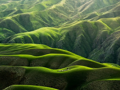 nature.jpg