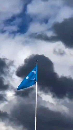 SFvZH4qN8NTNDUcU.jpg