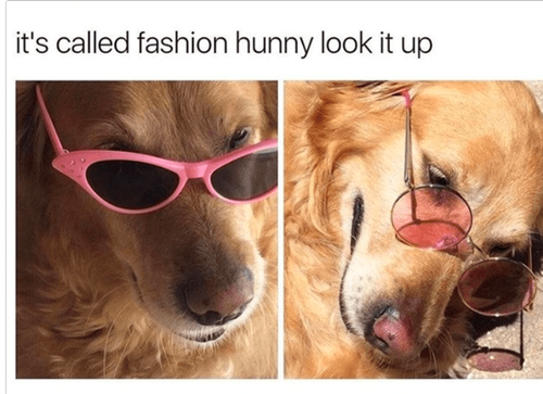 Fashion meme 45.png
