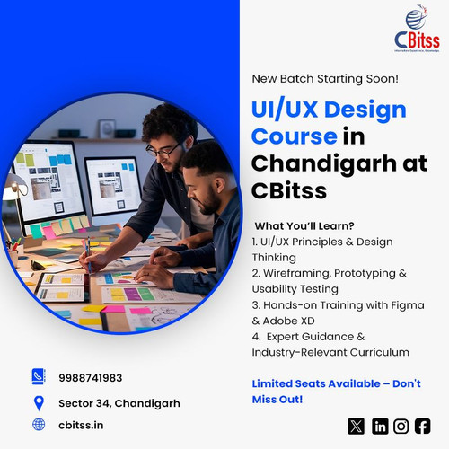 UI UXcourse in chandigarh.jpg
