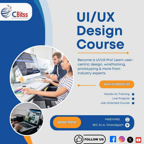 ui ux design in chandigarh.jpg