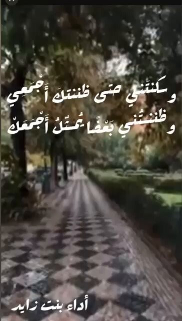 zq8YvenG3EDeOrOI.jpg