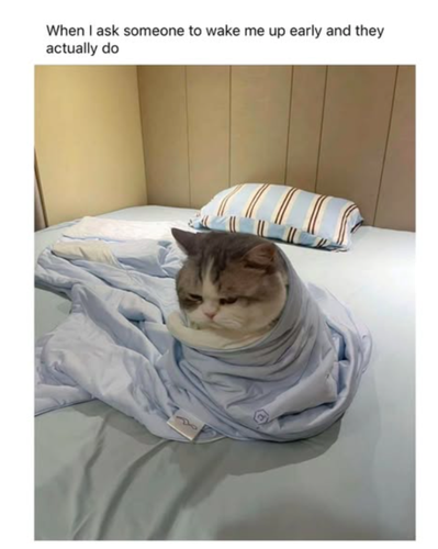 girly meme 47 720.png