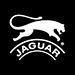 LOGO 1.png