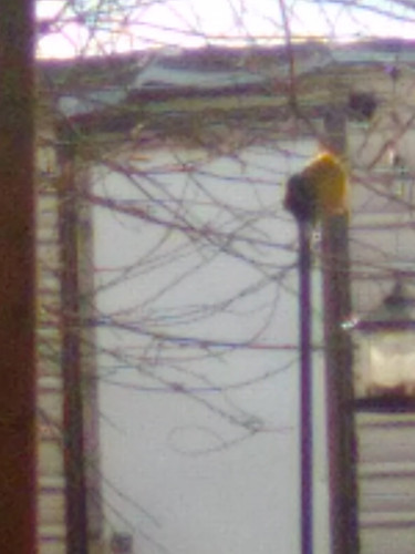 IMG 0891.jpg