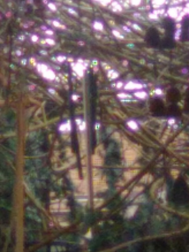IMG 0892.jpg