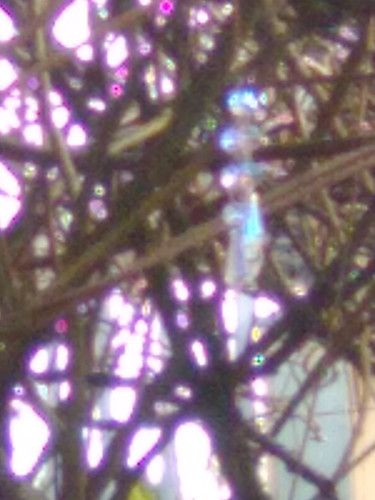 IMG 0889.jpg