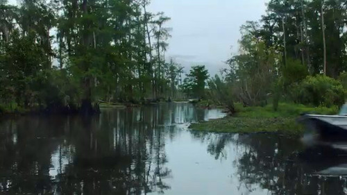 fH daZLyNgfIGwOm.jpg