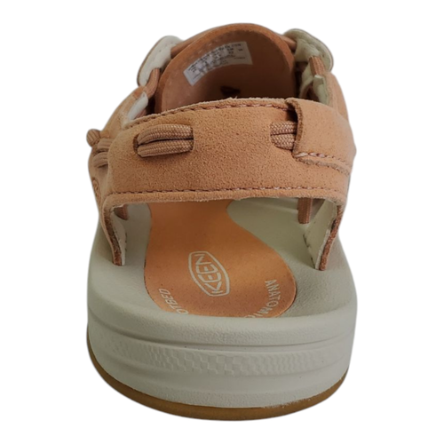 IMG 1663244612892417695.png