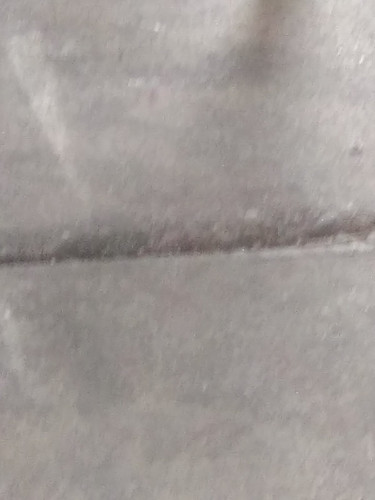 IMG 0890.jpg