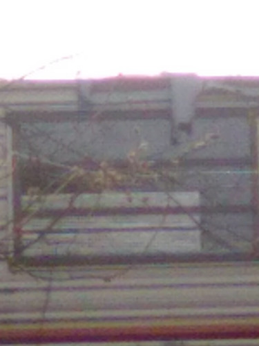 IMG 0887.jpg