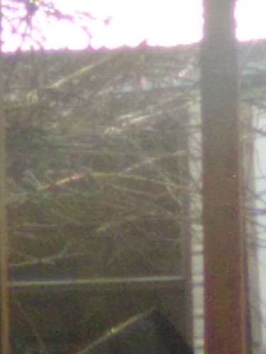 IMG 0888.jpg