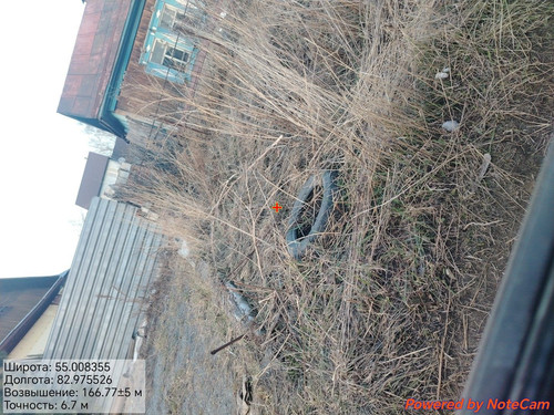 1000176944.jpg