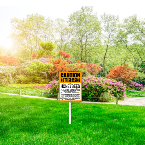 44 beesh41vw0410vwe 22.png