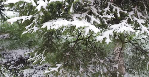 13742373890441471917?url=https%3A%2F%2Fwww.shantnews.am%2Fwp content%2Fuploads%2F2025%2F04%2F28b872a.jpg